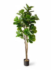 Artificial Luxury Fiddle Leaf Fig - 6 ft (180 cm)